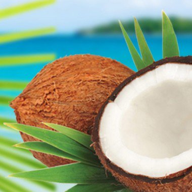 banner-coconut-sm